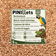 PINI Copeaux de hêtre 5 kg / 20 L, substrat moyen, hygiénique et peu poussiéreux pour reptiles, oiseaux et petits animaux, terrariums, volières et élevages, à haute capacité d’absorption 